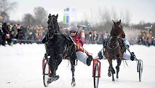 &bdquo;Sartai 2011&ldquo; žirgų lenktynių akimirka