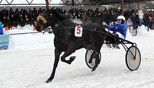&bdquo;Sartai 2011&ldquo; žirgų lenktynių akimirka