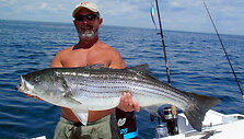 Striper