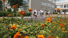 Anot vertinimo komisijos narių, mokyklos, vaikų darželiai stengiasi tvarkyti aplinką, nors finansinė situacija sudėtinga. 