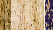 Mediena