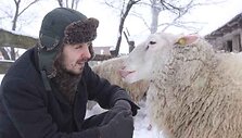argužių kaime auginamos avys sako, kad kalbėti apie paslaptis nereikėtų, nes paslaptys kuria stebuklus, o apie stebuklus nieko nepasakyti &ndash; tiki jais arba ne. 