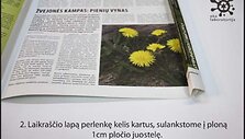 2 žingsnis