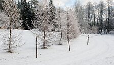 Labanoro regioninis parkas