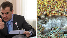 Dmitrijus Medvedevas ir jo katinas Dorofėjus