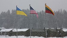 Ukrainos, JAV ir Lietuvos vėliavos