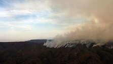 Mik&scaron;ų gaisras Meksikoje