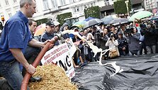 Protesto akimirka