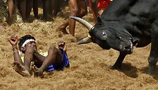 Festivalio akimirka