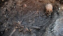 Karaliaus Ričardo III griaučiai