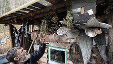 Krasnojarsko mi&scaron;kuose &scaron;alia Jenisejaus upės gyvenantis Viktoras