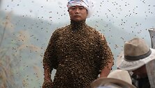Bitės ant Kinijos bitininko She Pingo