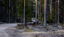 Suomijoje sudužo para&scaron;iutininkus skraidinęs lėktuvas 