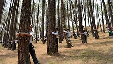 Nepalo moksleiviai apkabindami medžius paminėjo Pasaulinę aplinkos apsaugos dieną.