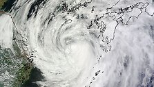 Taifūnas Neoguri