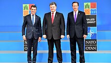 Andersas Foghas Rasmussenas, Petro Poro&scaron;enko ir Davidas Cameronas