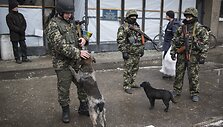 Ukrainos kariai Debalcevės mieste