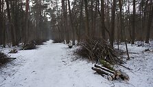 Tvarkomas Vingio parkas