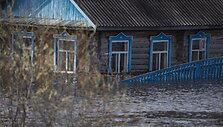 Potvynis Omsko srityje 