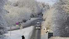 &Scaron;aurės Anglija