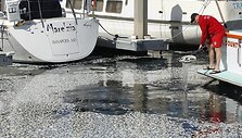 Nugai&scaron;usias žuvis traukiantis vyras