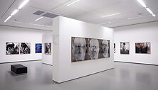 Jimo Dine'o paroda