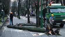 Uragano padariniai Klaipėdoje