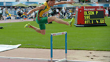 Silvestras Guogis
