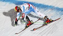 Marcelis Hirscheris i&scaron; Austrijos