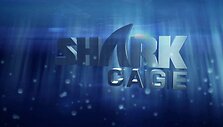 &bdquo;Shark cage&ldquo; projektas
