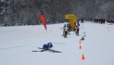 Ignalinoje vyko Vilmanto Gineito atminimo taurės slidinėjimo varžybos. 