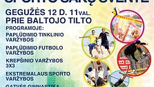 Renginio plakatas