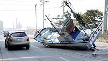 Žemės drebėjimų ir cunamio padariniai