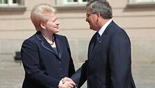 Dalia Grybaiskaitė dalyvauja susitikime
