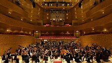 Baltijos jaunimo filharmonijos orkestras