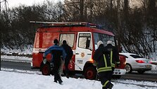Ant ledo gulėjo leisgyvis gyvūnėlis.