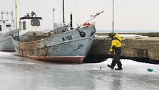&bdquo;Stintapūkis&ldquo;