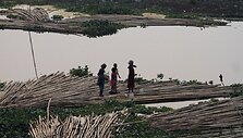 Brahmaputros upė