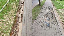 &Scaron;aligatvis Juodupėje