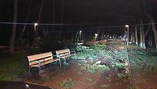 Audra Palangoje pridarė daug žalos
