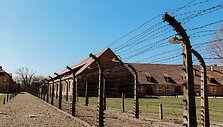 Au&scaron;vico koncentracijos stovykla