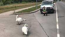Pareigūnai trumpam sustabdė eismą