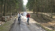 IMG_3850