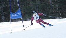 Karolis Janulionis