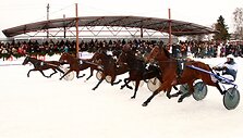 Žirgų lenktynės Dusetose