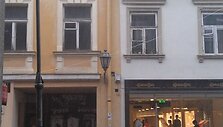 Liūtis Vilniuje