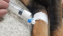  Apnuodytas Mindaugo Anusausko &scaron;uo