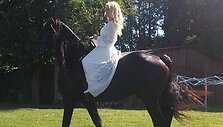 Vaida Genytė