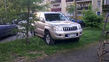 &bdquo;Toyota Land Cruiser&ldquo; ant žolytės