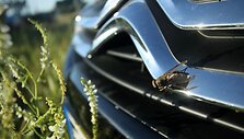 &bdquo;Citroen C4&ldquo;